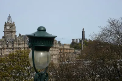 DSC_7390 (Large).JPG